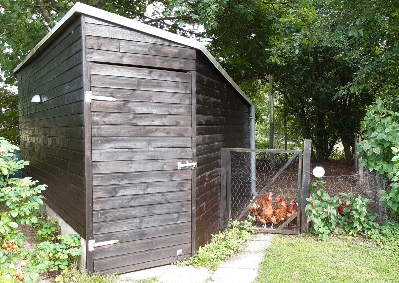 Bofællesskabets hønsehus